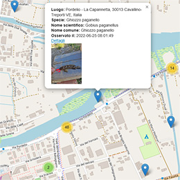 Avvistamenti Fauna e Flora laguna di venezia